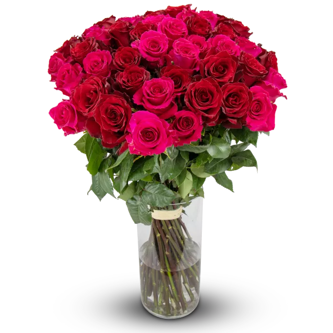 Kytice ekvádorských růží 80 cm